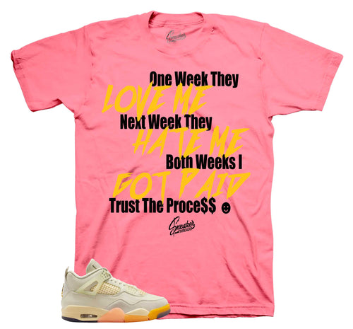 Retro 4 Birds Of Paradise Trust The Process Shirt