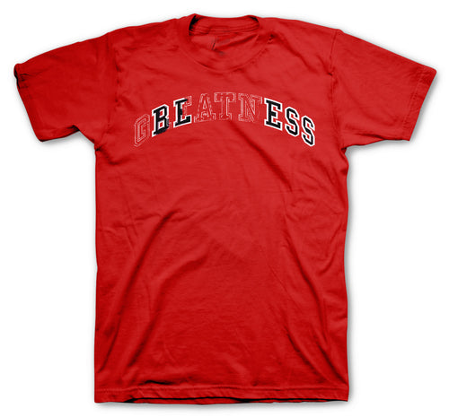 Gym Red Jordan 14 sneaker collection matches mens tee shirt collection 