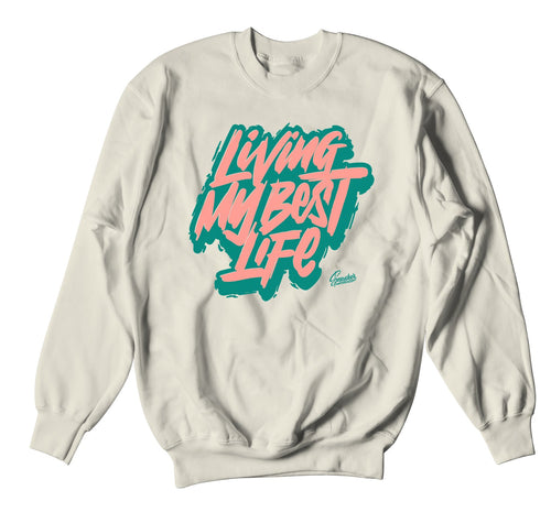 sweat shirt collection matching the Jordan 10 super bowl collection 