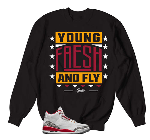 Sneaker sweaters match Jordan 3 