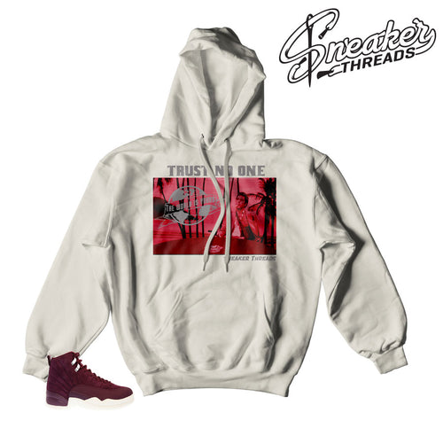 Jordan 12 bordeaux hoody to match shoes.
