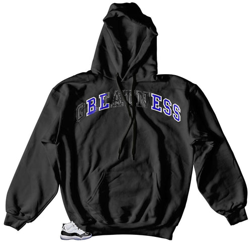 Jordan Concord 11 Sneakers made to match hoody | Concord 11's hoody made to match sneaker collection