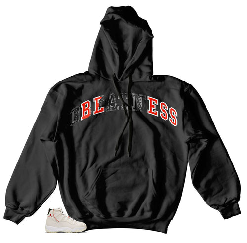 Jordan 11 Platinum Tint Stitch Hoody