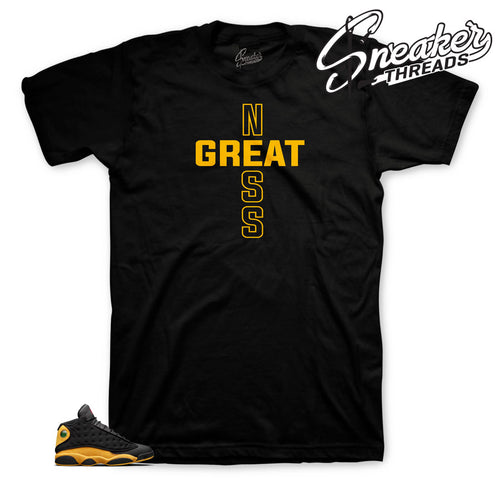 jordan 13 class of 2002 sneaker tee to match retro 13.