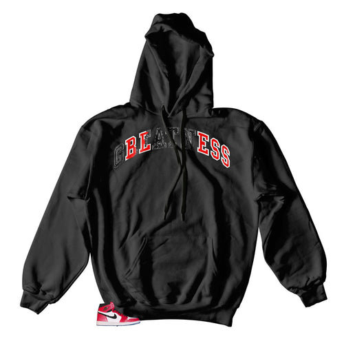 Jordan 1 Spider Verse sneaker matches hoody designed to match Jordan 1 Spider