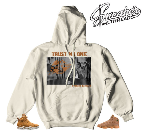 Jordan 6 wheat hooded sweatshirts match retro golden harvest retro 1.