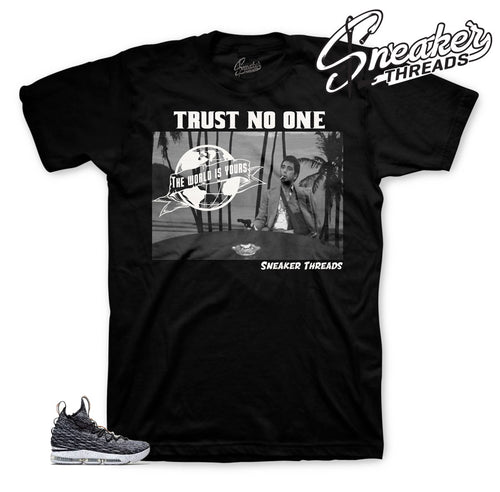 Official matching tees for Lebron ashes | Sneaker matching clothing.