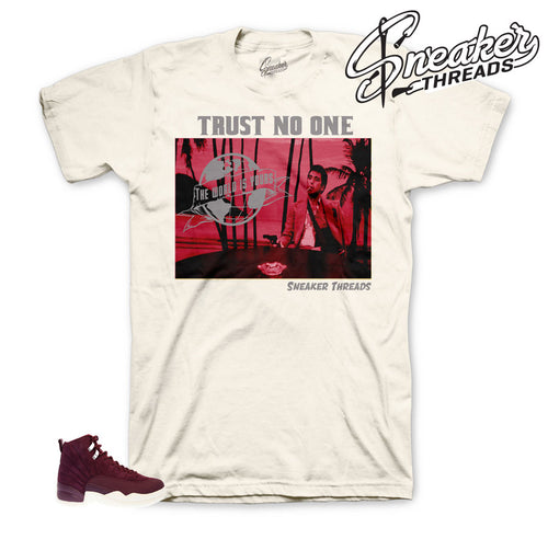 Jordan 12 bordeaux tee shirts | Matching sneaker tees.